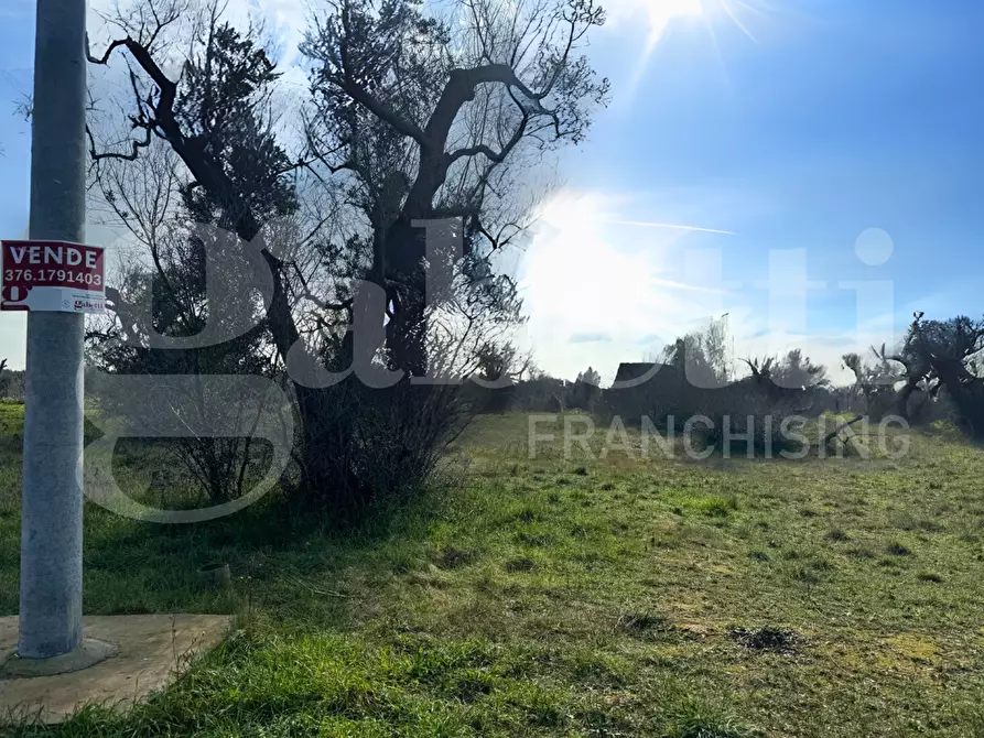 Immagine 2 di Baita in vendita  in Contrada San Giovanni, snc a Nardo'