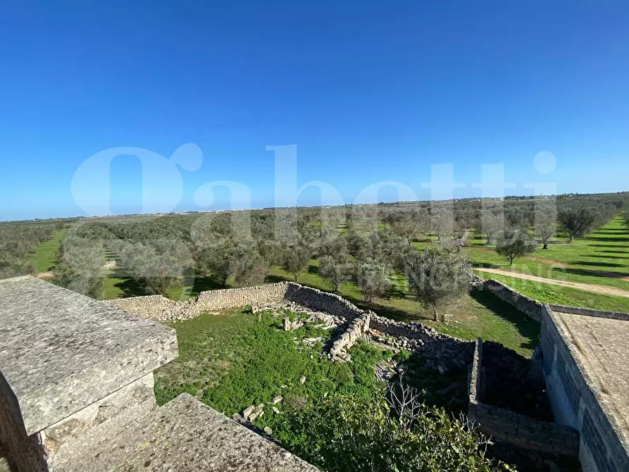 Immagine 17 di Rustico / casale in vendita  in Via Circonvallazione a Veglie