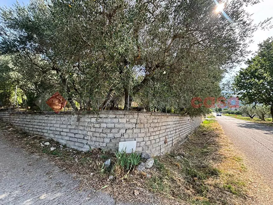 Immagine 12 di Casa indipendente in vendita  in Via Valle Vona, snc a Anagni
