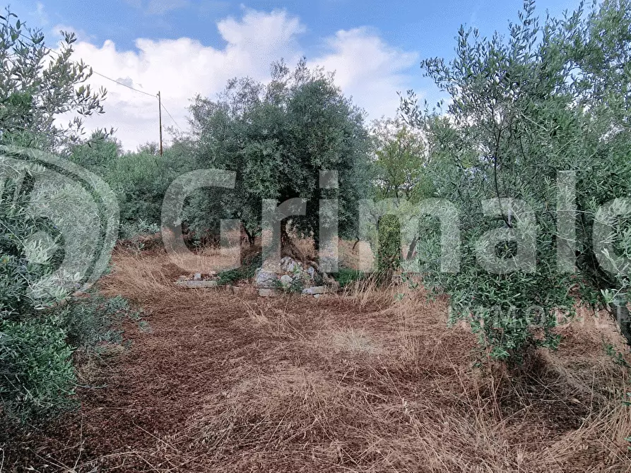 Immagine 2 di Terreno residenziale in vendita  in Contrada Manzo, SNC a Sortino