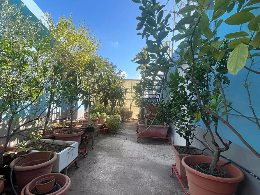 Immagine 29 di Appartamento in vendita  in Via Benedetto Croce,, 20 a Siracusa