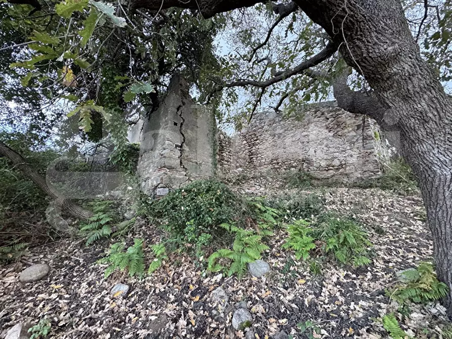 Immagine 32 di Terratetto in vendita  in Contrada Margi, snc a Rometta