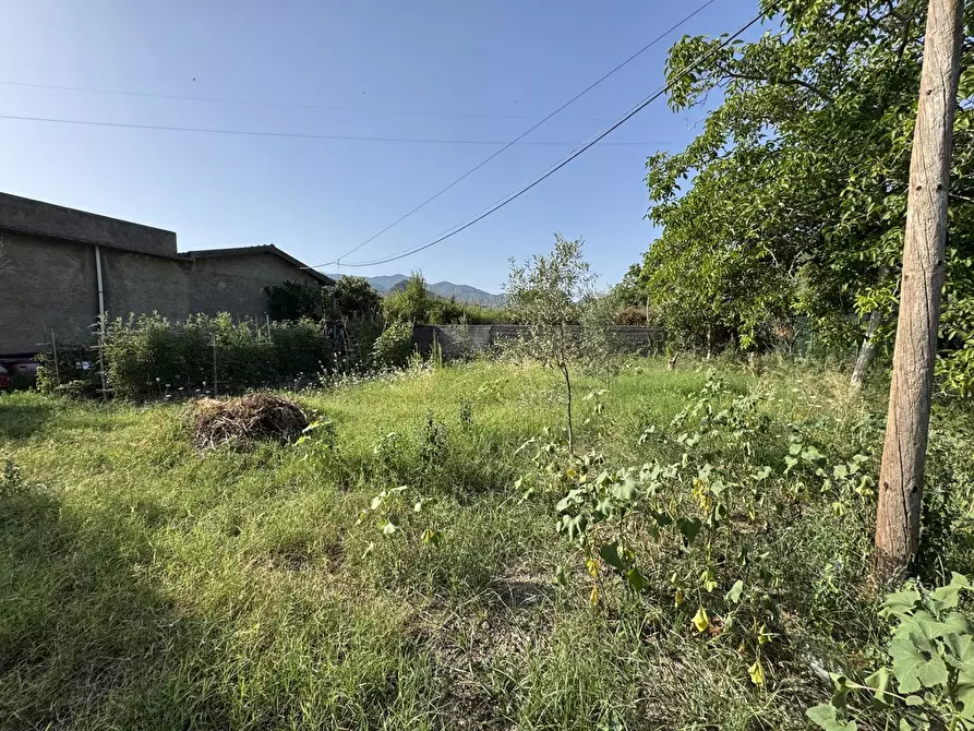 Immagine 16 di Terreno agricolo in vendita  in Strada comunale, snc a Rometta