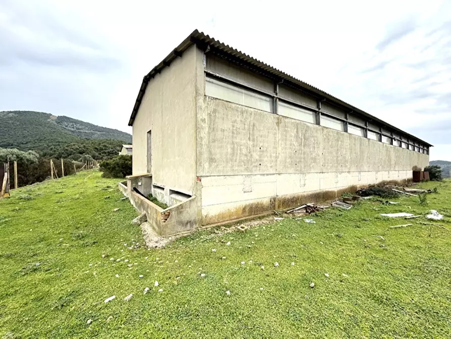 Immagine 1 di Capannone industriale in vendita  in Strada COMUNALE DE ORBAI, SNC a Dolianova
