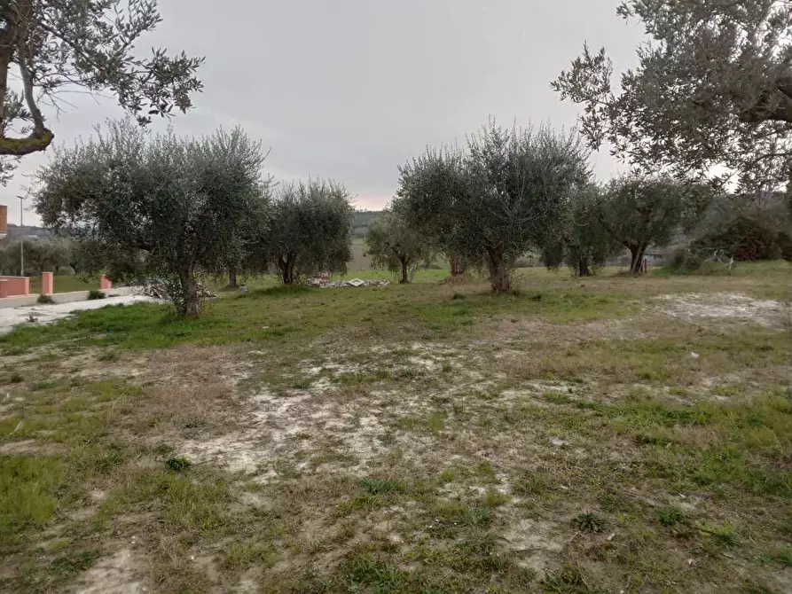 Immagine 7 di Villetta a schiera in vendita  in Via della Madonna, 0 a Campli