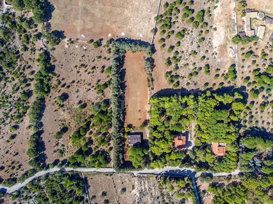 Immagine 12 di Terreno agricolo in vendita  in Via Cava Grande, 1 a Avola