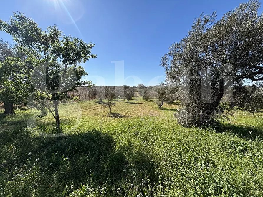 Immagine 26 di Rustico / casale in vendita  in Contrada Bortolone, 55 a Chiaramonte Gulfi