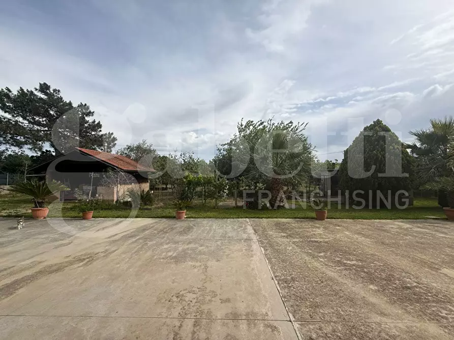 Immagine 8 di Casa indipendente in vendita  in Via Santa Caterina, 21 a Gizzeria