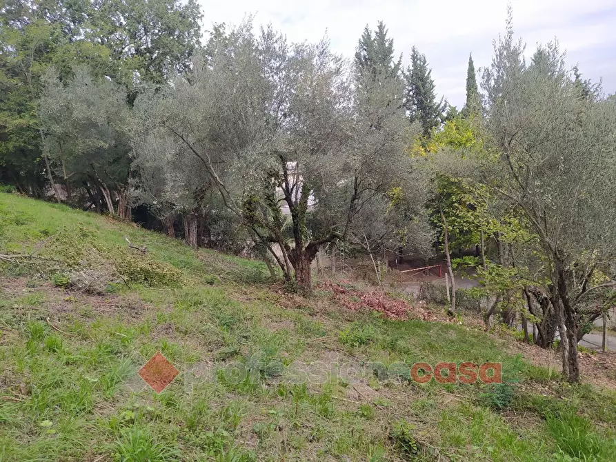 Immagine 10 di Terreno agricolo in vendita  in Via Monteluce Via Monterone a Perugia