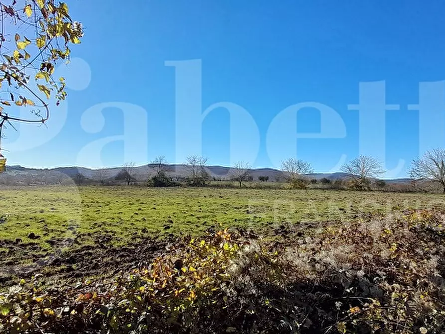Immagine 17 di Rustico / casale in vendita  in Via DEL CONDOTTINO, 00 a Manziana