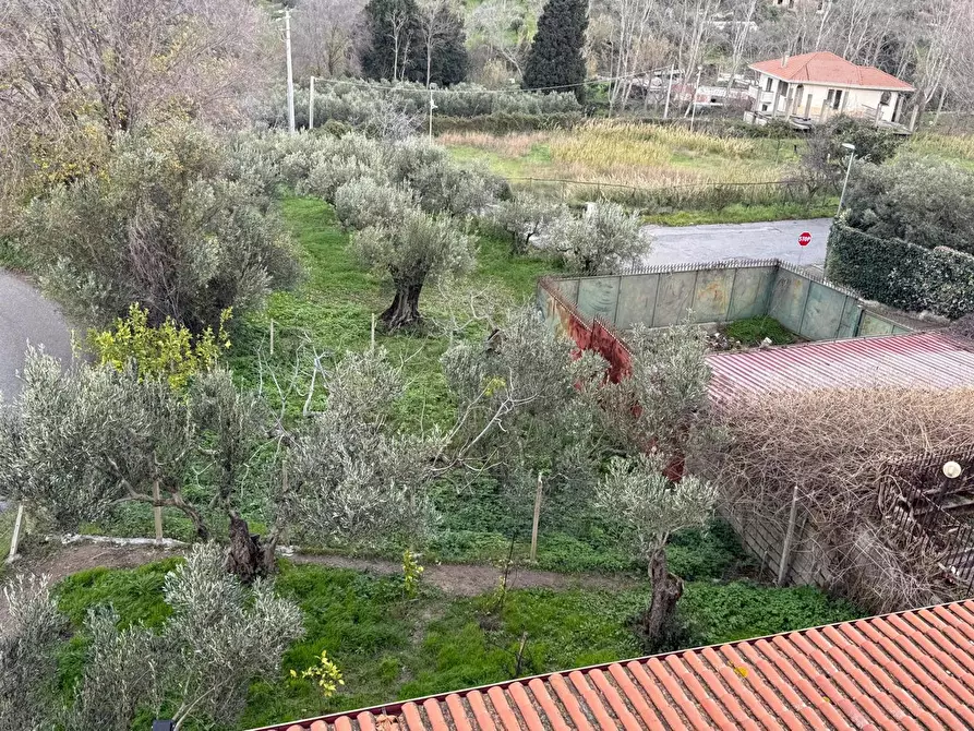 Immagine 13 di Appartamento in vendita  in Via E. berlinguer, 138 a Maida