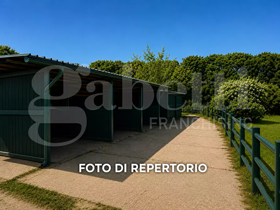 Immagine 11 di Rustico / casale in vendita  in Via settevene primo tronco da trevignano a Bracciano