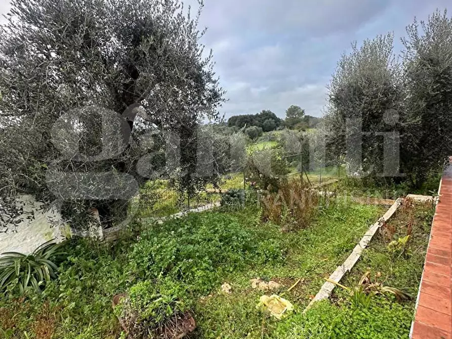 Immagine 33 di Villa in vendita  in Contrada Monte La Morte, sn a Ostuni
