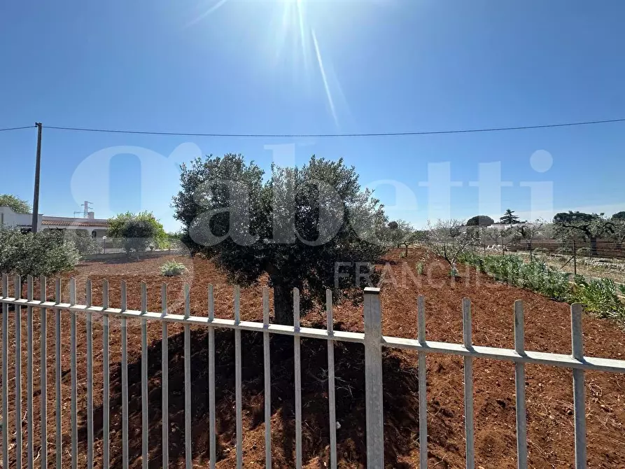 Immagine 19 di Villa in vendita  in Contrada Molillo, sn a Ostuni