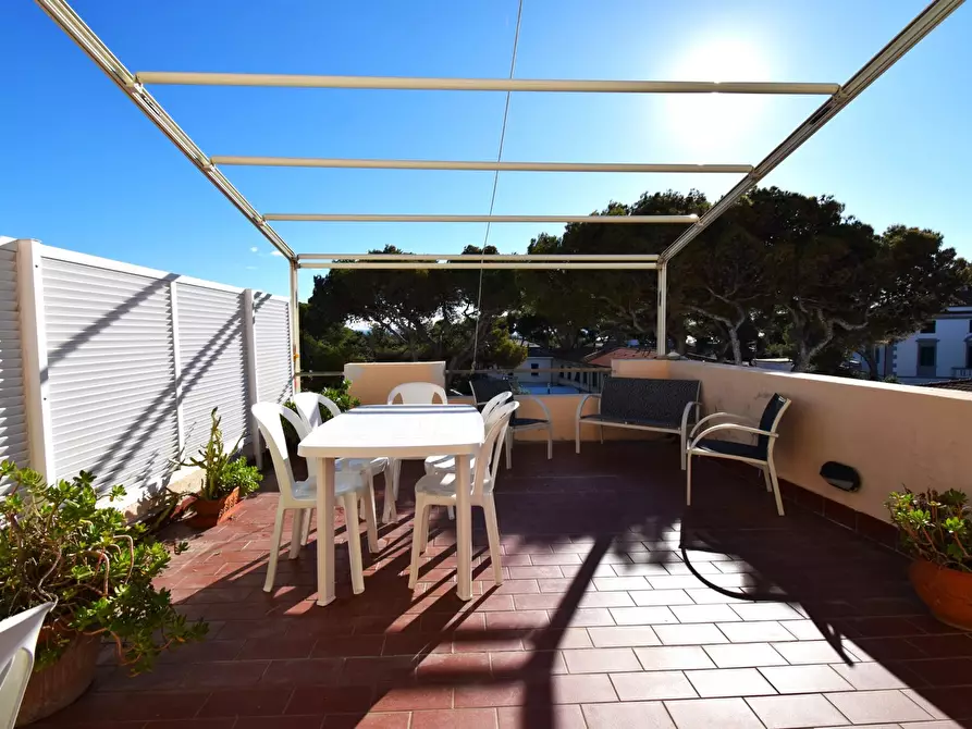 Immagine 9 di Loft/Open space in affitto  in Via fucini, 12 a Rosignano Marittimo