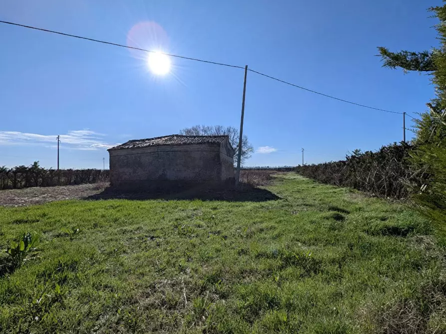 Immagine 10 di Rustico / casale in vendita  in LocalitÃ  Valcerere Dolfina, 00 a Cavarzere