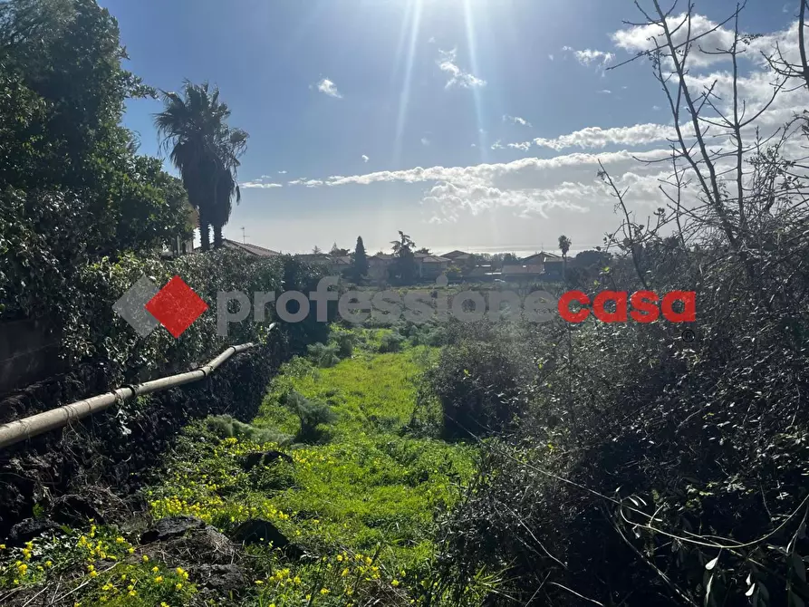 Immagine 2 di Terreno agricolo in vendita  in Via Mediterraneo, 2 a Mascalucia