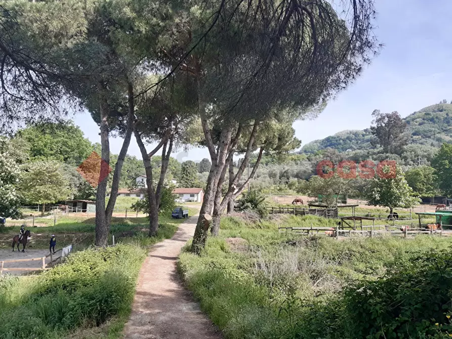 Immagine 2 di Villa in vendita  in Via villa del vescovo, 41 a Uzzano