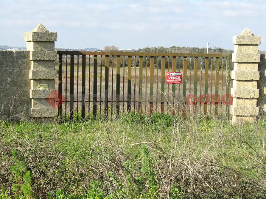 Immagine 2 di Terreno agricolo in vendita  in Via santi stefani a Poggiardo