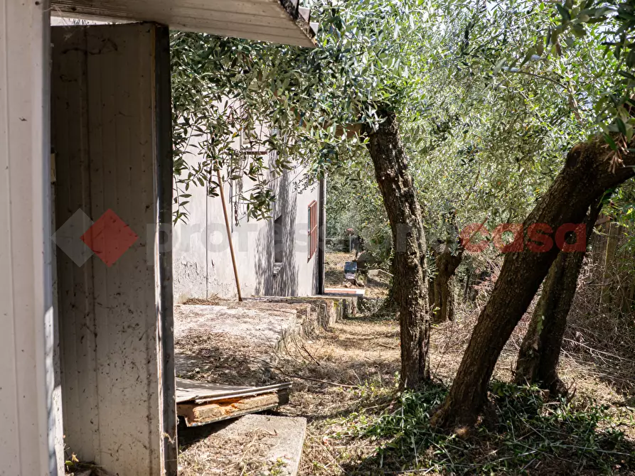 Immagine 24 di Rustico / casale in vendita  in Via Prignano di Sotto, 28 a Anagni