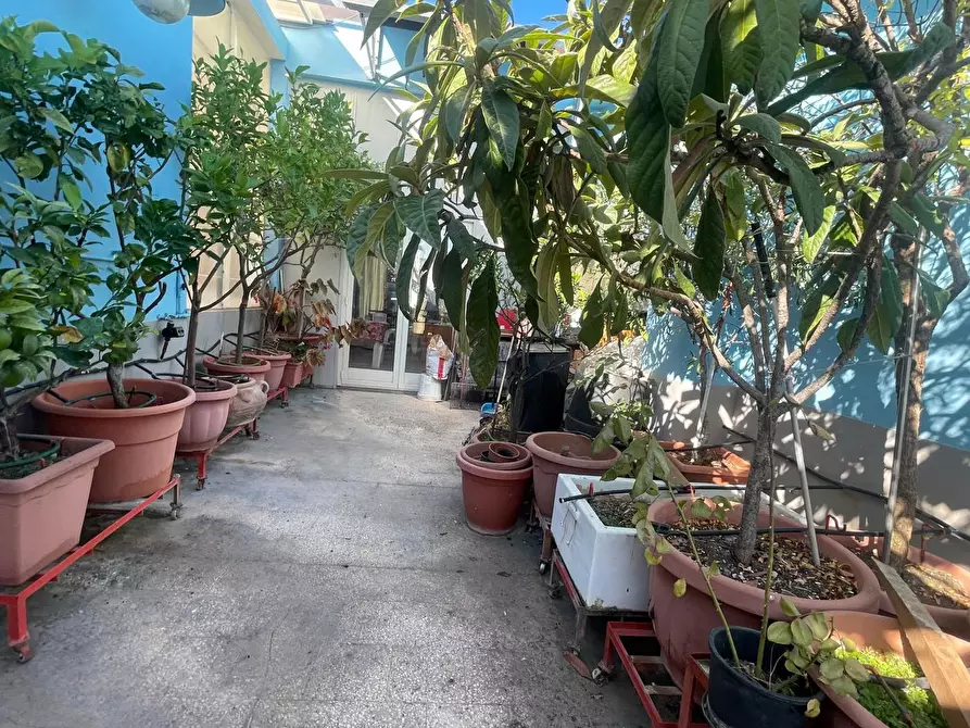 Immagine 27 di Appartamento in vendita  in Via Benedetto Croce,, 20 a Siracusa