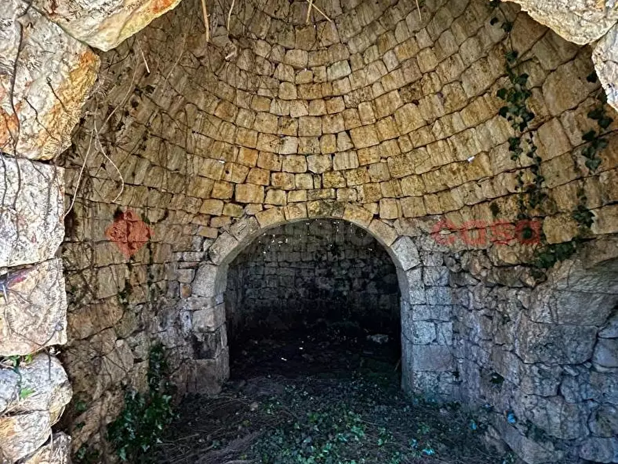 Immagine 5 di Baita in vendita  in Contrada BARONE PICCOLO, SNC a Ceglie Messapico