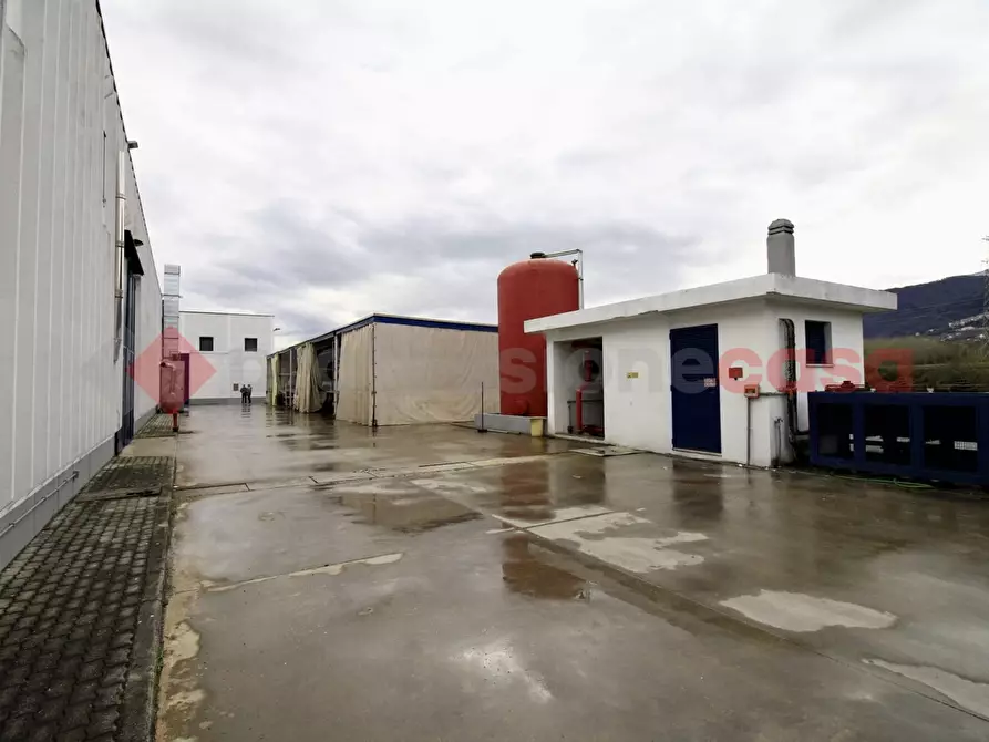 Immagine 4 di Capannone industriale in vendita  in Via Provinciale Morolense, 105 a Morolo