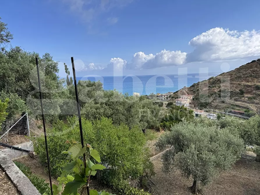 Immagine 10 di Terreno agricolo in vendita  in Contrada grancabella, SNC a Messina