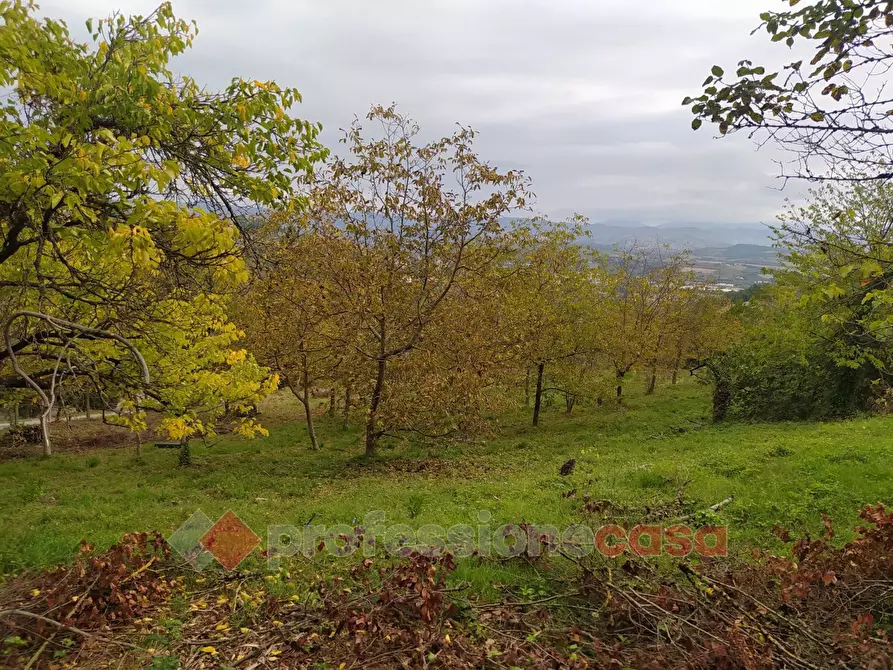 Immagine 11 di Terreno agricolo in vendita  in Via Monteluce Via Monterone a Perugia