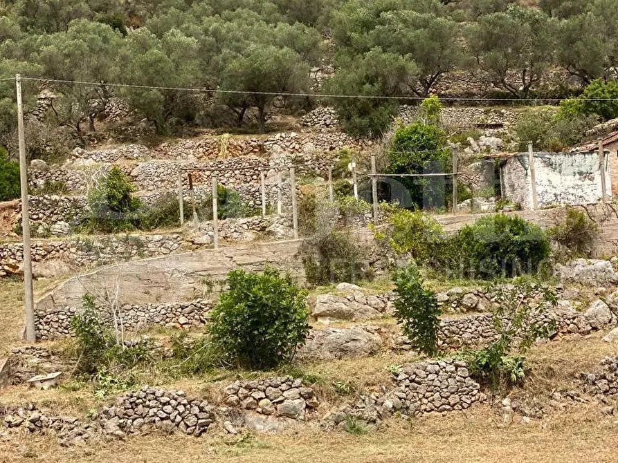 Immagine 16 di Terreno agricolo in vendita  in Via Sant'Agostino, snc a Gaeta