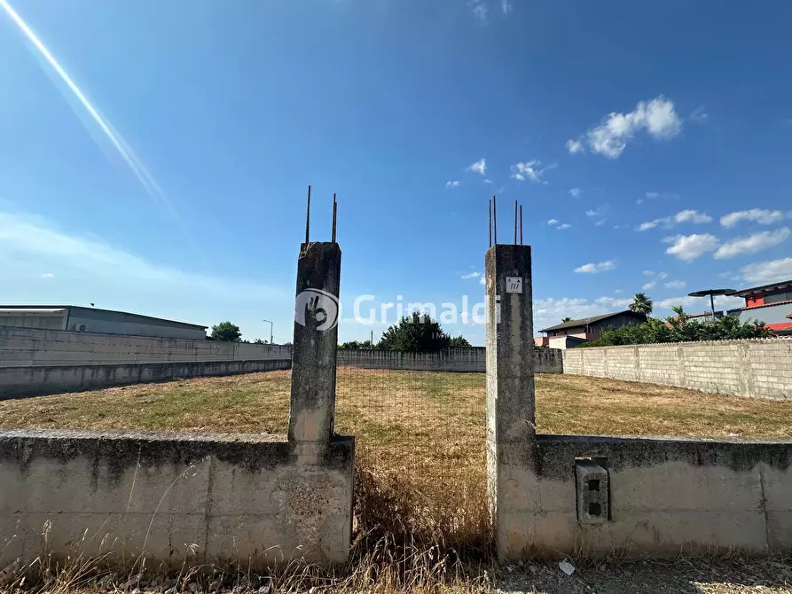 Immagine 9 di Terreno agricolo in affitto  in Via Fatigati, 117 a Acerra