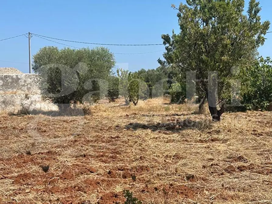 Immagine 5 di Rustico / casale in vendita  in Contrada Tamburroni, sn a Ostuni