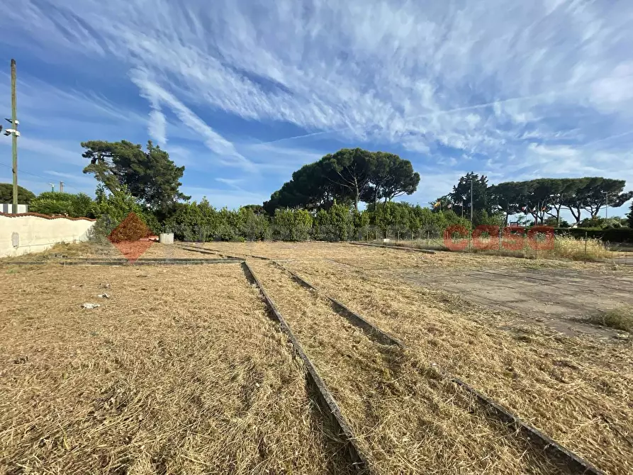 Immagine 6 di Terreno agricolo in vendita  in Strada PROV. S. FELICE CIRCEO, 1 a Terracina
