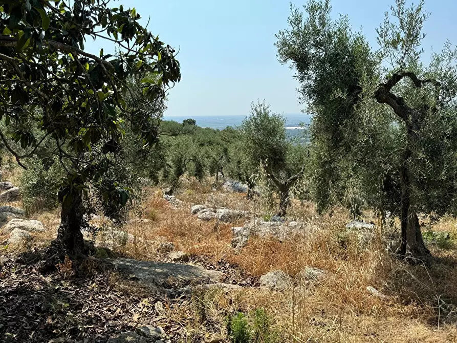 Immagine 17 di Villa in vendita  in Via Carbonara, 11 a Sonnino