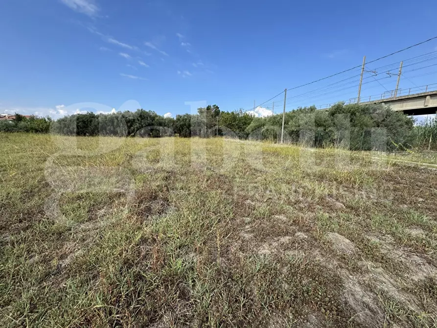 Immagine 4 di Terreno agricolo in vendita  in Via Kennedy, snc a Milazzo