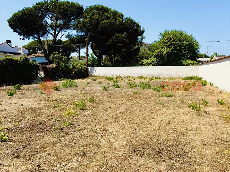 Immagine 21 di Terreno agricolo in vendita  in Via OASI DEL SISTO, 31 a Terracina
