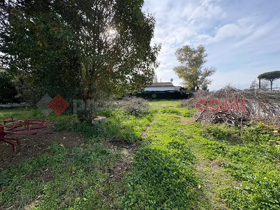 Immagine 29 di Bar / Ristorante in vendita  in Via Punta Fiume, snc a Sessa Aurunca
