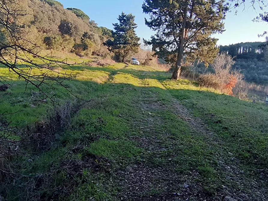 Immagine 1 di Terreno agricolo in vendita  in Via della valle benedetta, 201 a Livorno