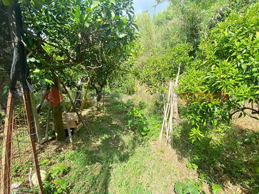 Immagine 29 di Appartamento in vendita  in Via Monte Massico a Falciano Del Massico