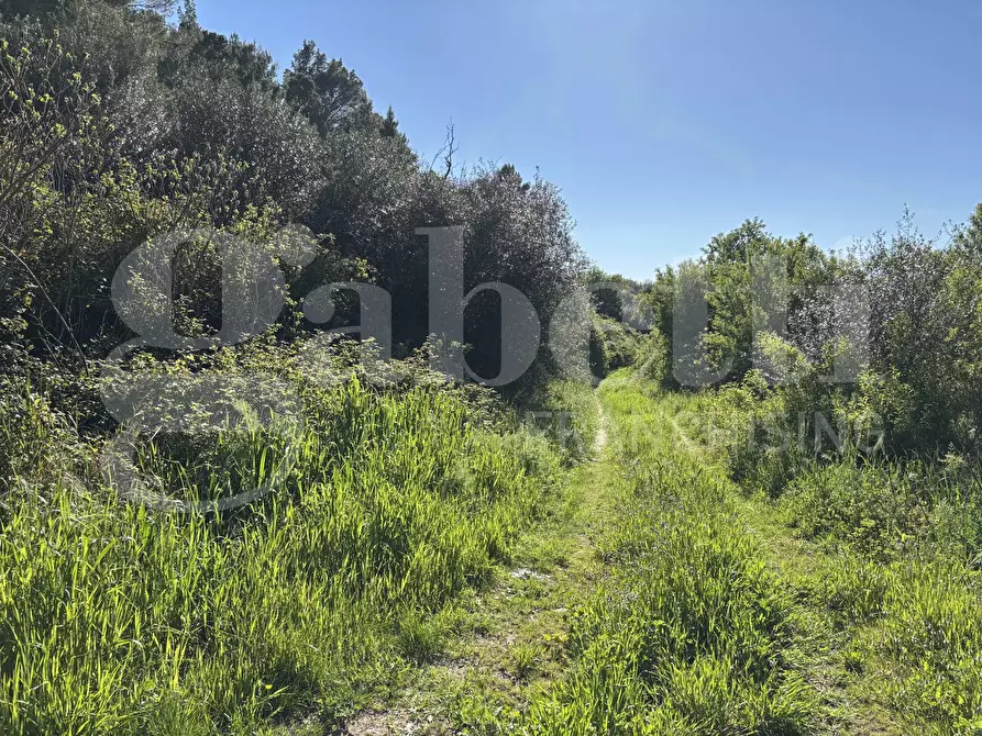 Immagine 7 di Rustico / casale in vendita  in Contrada Petraro, snc a Chiaramonte Gulfi