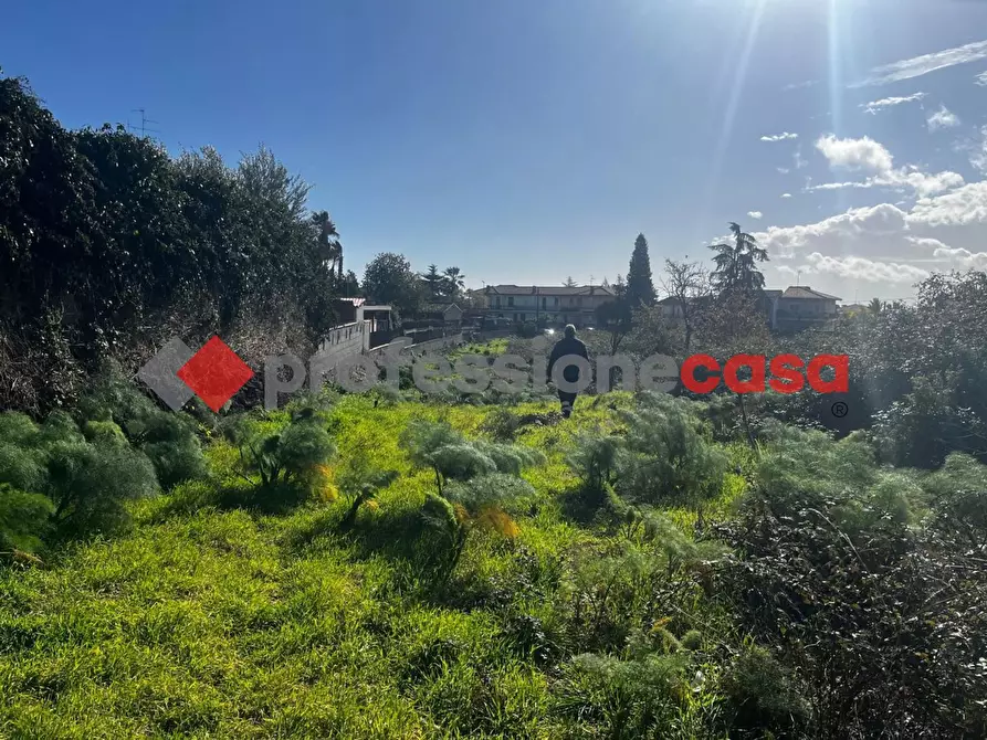 Immagine 9 di Terreno agricolo in vendita  in Via Mediterraneo, 2 a Mascalucia