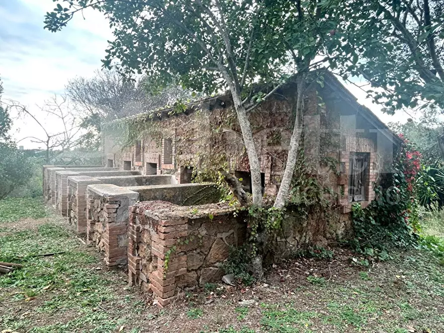 Immagine 8 di Villa in vendita  in Via solfarata, 51 a Roma