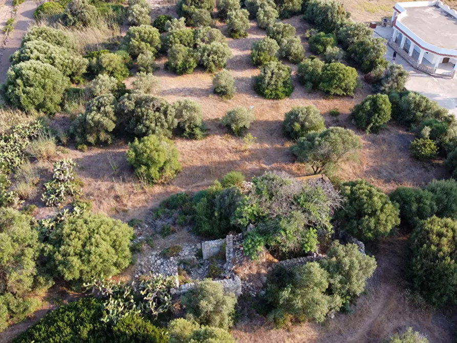 Immagine 10 di Terreno agricolo in vendita  in Contrada Guardiani, . a Portopalo Di Capo Passero