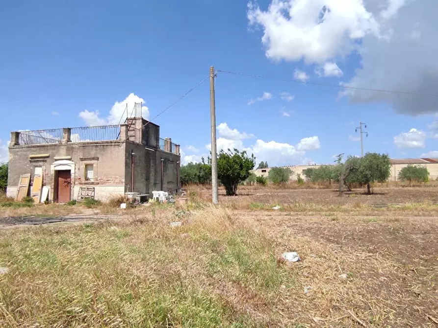 Immagine 18 di Terreno agricolo in vendita  in Via SAN ROCCO, SNC a San Severo