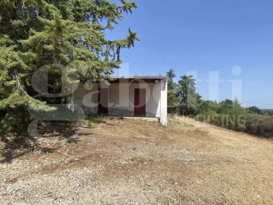 Immagine 29 di Villa in vendita  in Via S.P. 18, 76 a Cassano Delle Murge