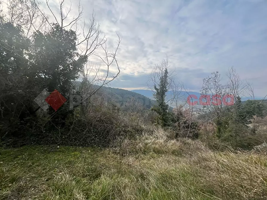 Immagine 13 di Terreno agricolo in vendita  in LocalitÃ  Rubbiano a Spoleto