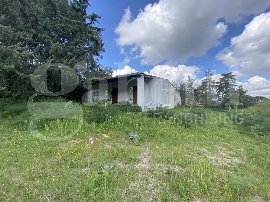 Immagine 19 di Villa in vendita  in Via S.P. 18, 76 a Cassano Delle Murge