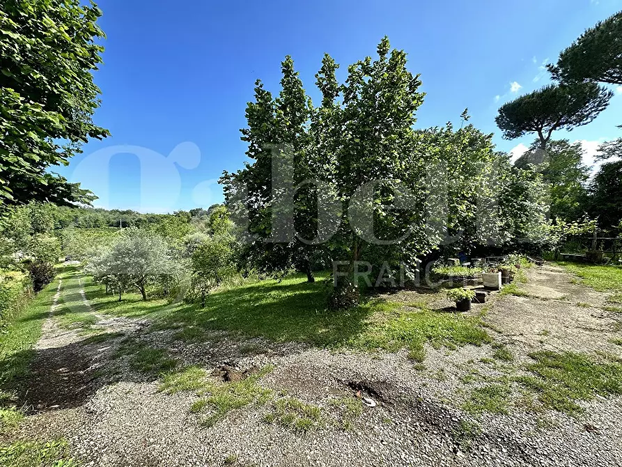 Immagine 3 di Terreno agricolo in vendita  in Via DELLA FIORA, 00 a Manziana