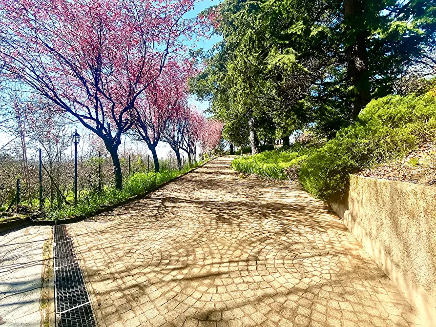 Immagine 38 di Casa bifamiliare in vendita  in Strada Eremo, 40/3 a Pecetto Torinese