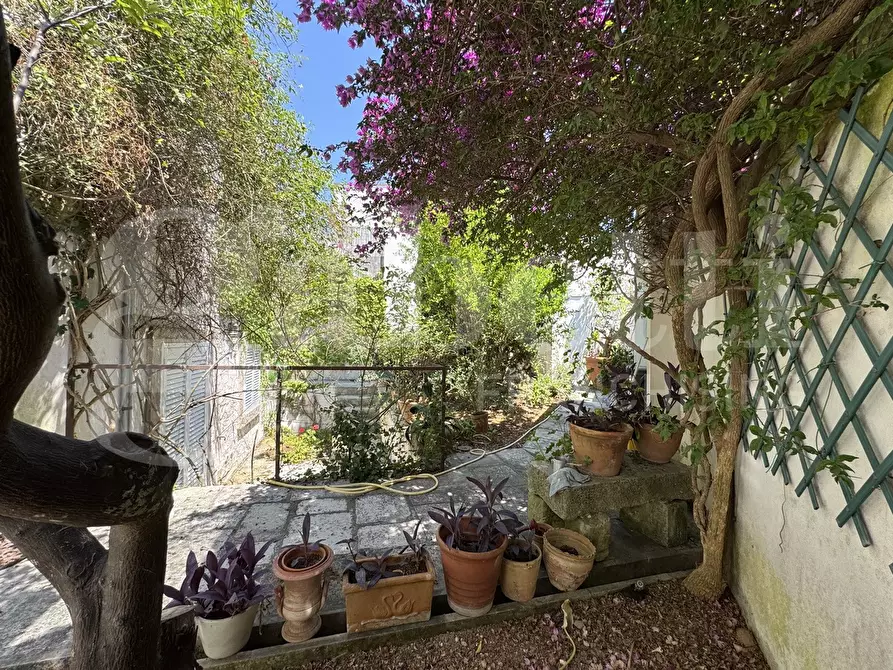 Immagine 40 di Terratetto in vendita  in Via San Vincenzo, 55-57-59 a Giurdignano